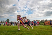 Sportsfield3