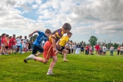 Sportsfield4